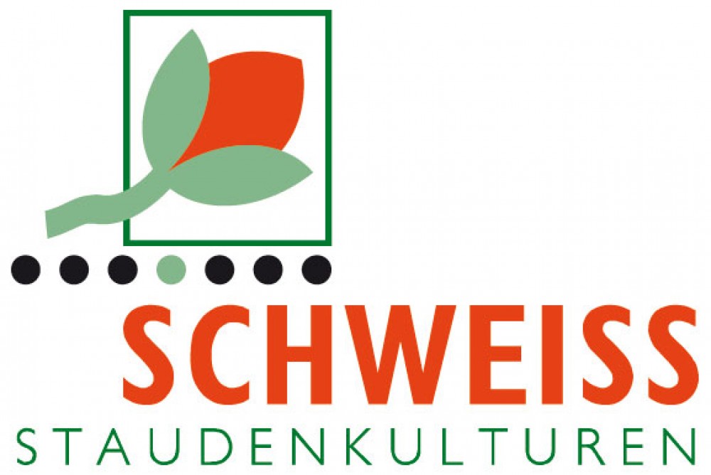 Schweiss Staudenkulturen